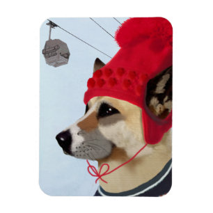 Hund in der Ski-Strickjacke Magnet