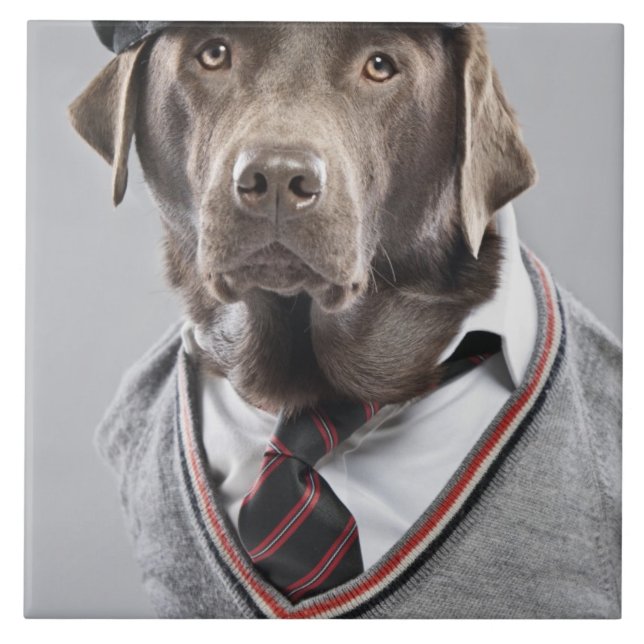 Hund in der Strickjacke und in der Kappe Fliese (Vorderseite)