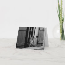 Hund in der Türbeschreibungskarte