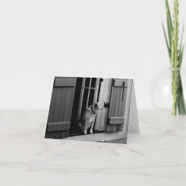 Hund in der Türbeschreibungskarte Dankeskarte