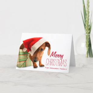 Hund in der Weihnachtsmannmütze Feiertagskarte