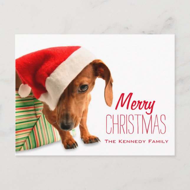 Hund in der Weihnachtsmannmütze Feiertagspostkarte (Vorderseite)