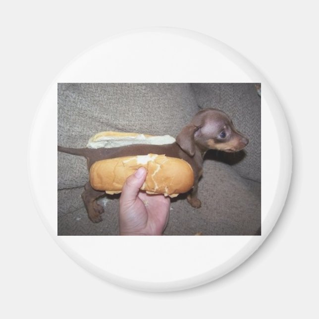 Hund in einem Bun Magnet (Vorne)