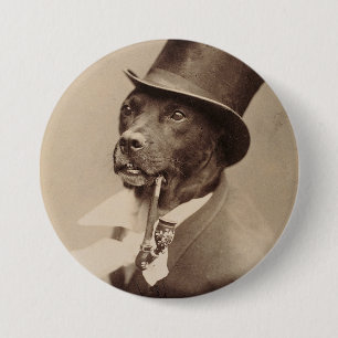 Hund in einem Hut Button