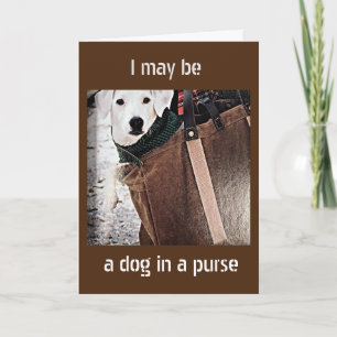 ***HUND IN EINEM PURSE SAGT GLÜCKLICH OSTERSEL*** KARTE