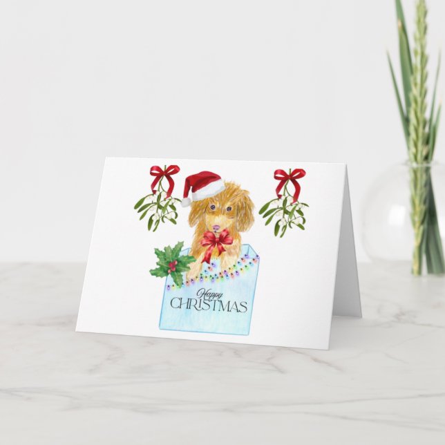 Hund in einer blauen Box Weihnachtskarte Karte (Vorderseite)