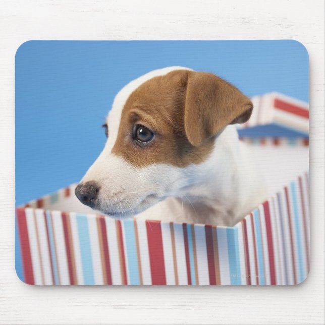 Hund in einer Geschenkboxen Mousepad (Vorne)