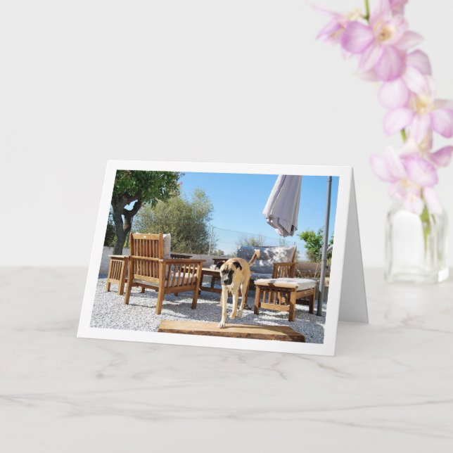 Hund in Garten Karte (Orchidee)