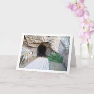 Hund in Höhle Karte