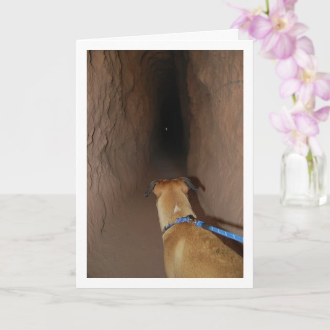 Hund in Höhle Karte (Orchidee)