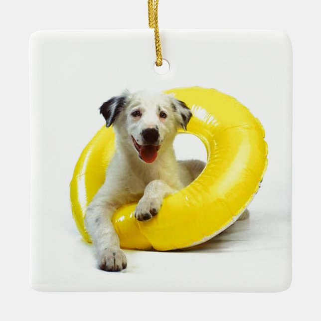 ***HUND IN INNERTUBE*** CHRISMAS ORNANATION KERAMIKORNAMENT (Vorderseite)