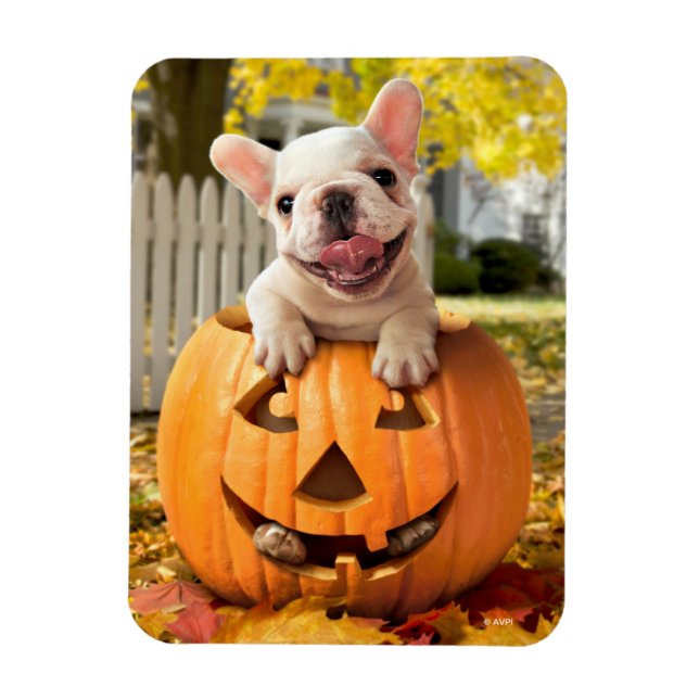 Hund in Jack-o-Lantern Magnet (Vertikal)