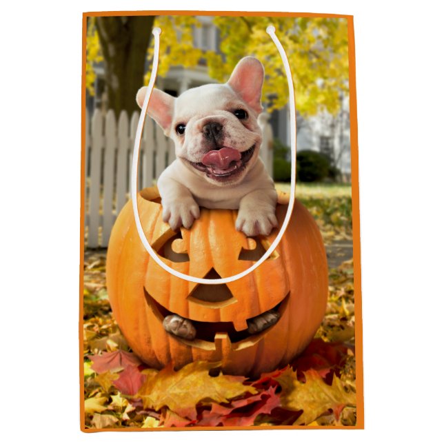 Hund in Jack-o-Lantern Mittlere Geschenktüte (Vorderseite)
