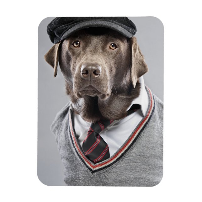 Hund in Pullover und Kapsel Magnet (Vertikal)