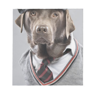Hund in Pullover und Kapsel Notizblock