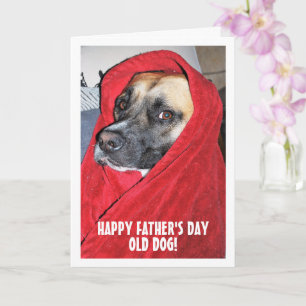Hund in Red Blanket Portrait Karte