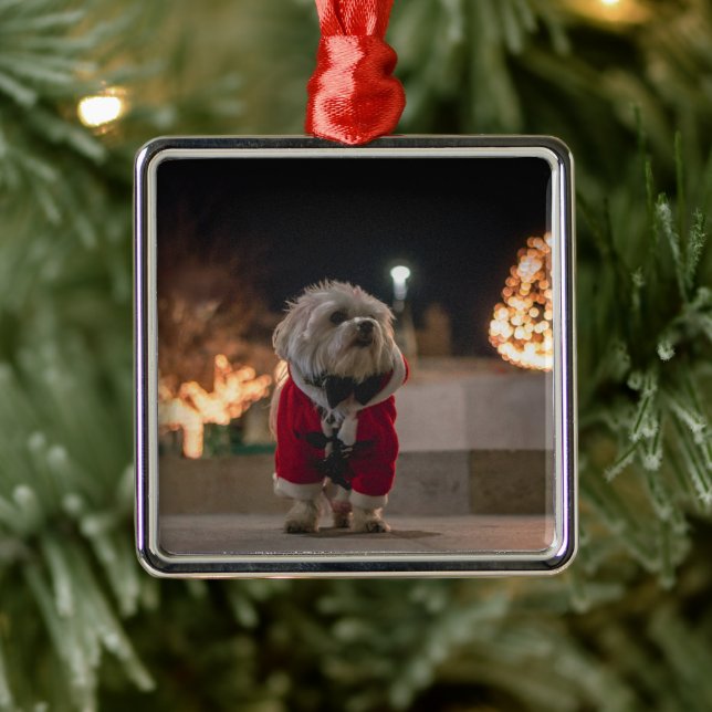 Hund in Santa-Kostüm Ornament Aus Metall (Baum)