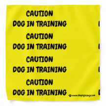 Hund in Training Yellow Bandana