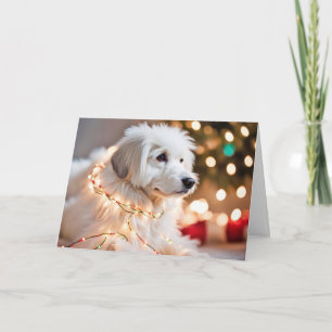Hund in Weihnachtsbeleuchtung verheddert Feiertagskarte