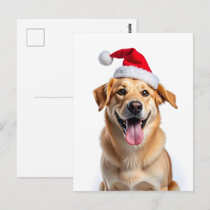 Hund in Weihnachtsmannmütze Postkarte