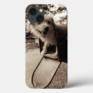Hund innerhalb eines Briefkastens Case-Mate iPhone Hülle
