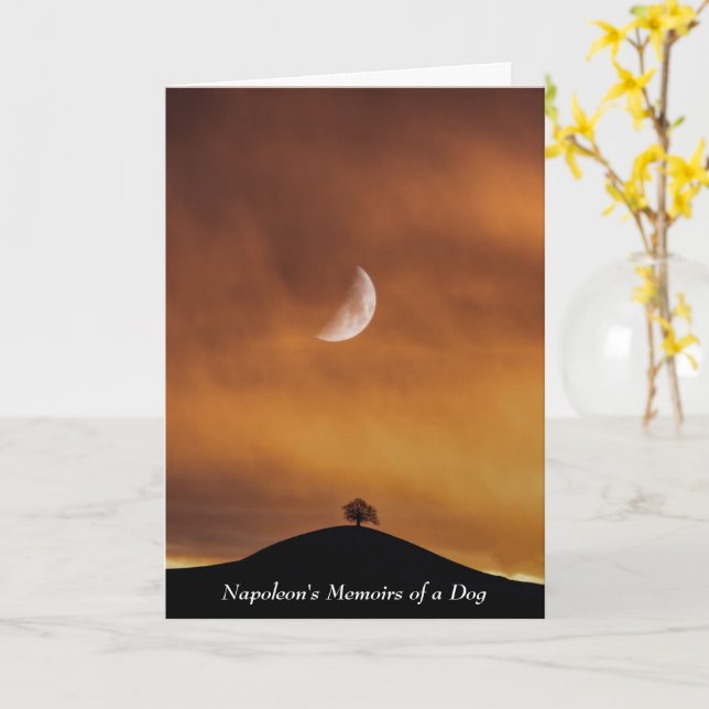 Hund Inspiriere Napoleon nach der Schlacht von Bas Karte (Gelbe Blume)