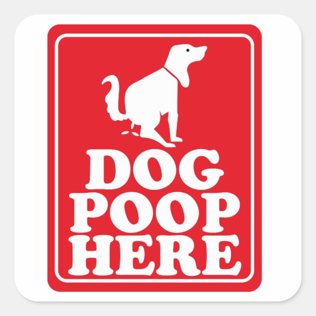 Hund Kackte hier Quadratischer Aufkleber (Vorderseite)