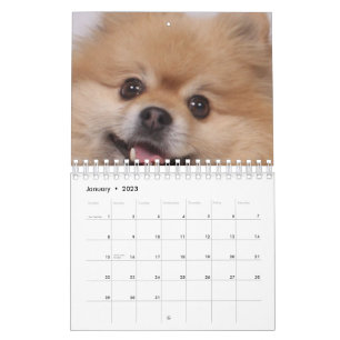 Hund Kalender
