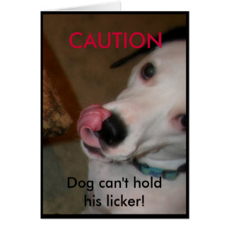 Hund kann seinen Licker nicht halten!
