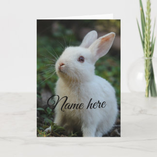 Hund Katze Haustier Name Foto Vorlage einfach Kani