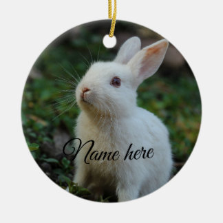 Hund Katze Haustier Name Foto Vorlage einfach Kani Keramik Ornament
