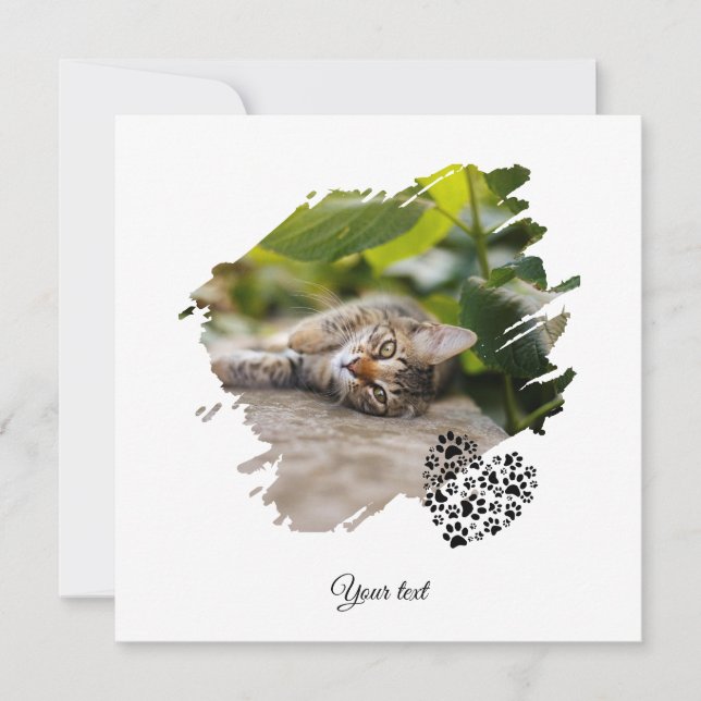 Hund Katze Haustier Pfote Benutzerdefiniertes Foto Karte (Vorderseite)