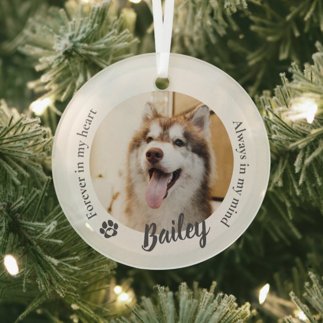 Hund Katze Personalisiertes Foto Erinnerungsstück Ornament Aus Glas (InSitu)