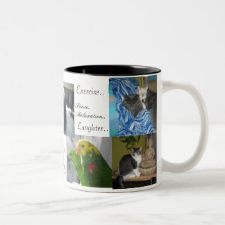 Hund, Katzen, Vögel, beste Freunde Zweifarbige Tasse