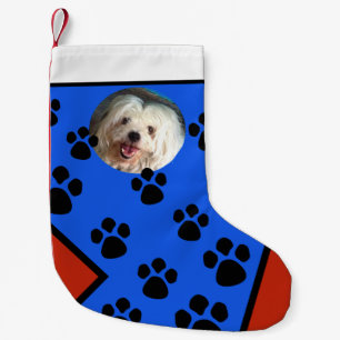 Hund Kleiner Weihnachtsstrumpf