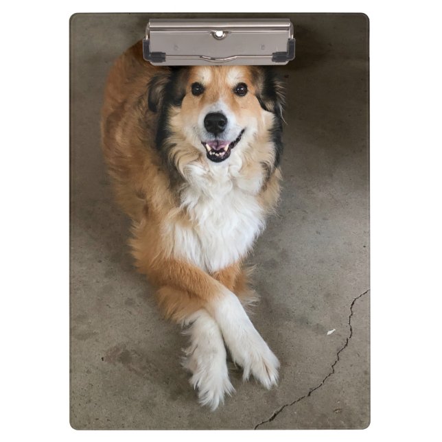 Hund Klemmbrett (Vorderseite)