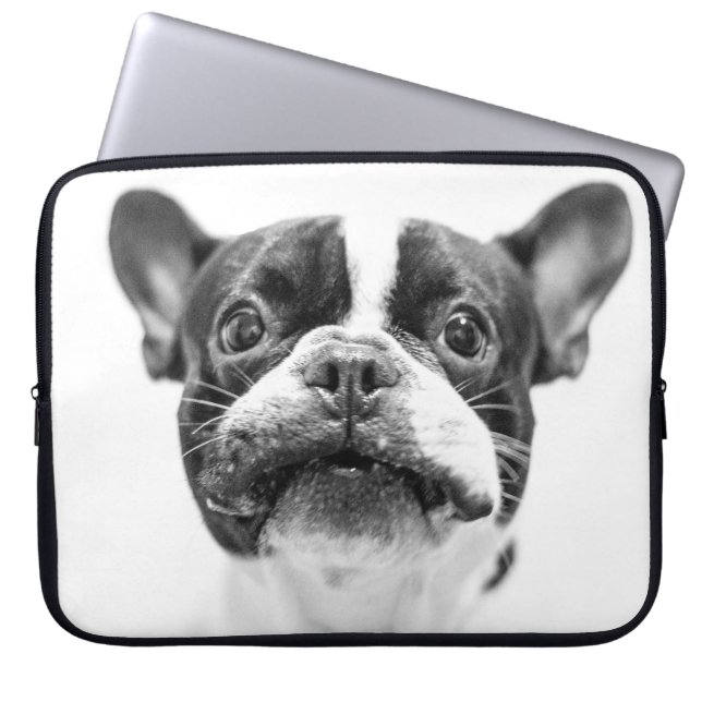 Hund Laptopschutzhülle (Vorderseite)