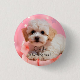 Hund Lass uns Party Geburtstag Button