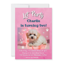 Hund Lass uns Party Geburtstag 