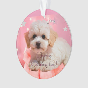 Hund Lass uns Party Geburtstag  Ornament