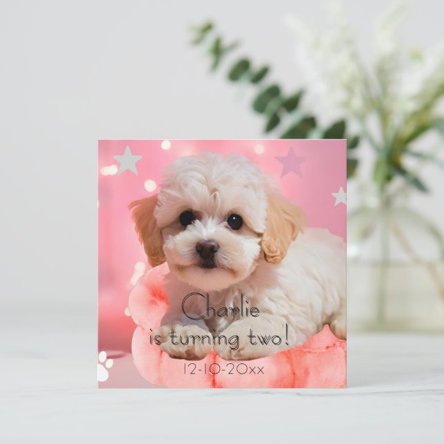 Hund Lass uns Party Geburtstag  Save The Date (Stehend Vorderseite)