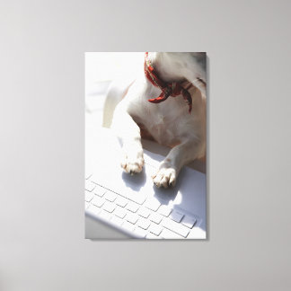 Hund legt sich die Hände auf einen Laptop Leinwanddruck