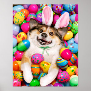 Hund liegt auf Ostereiern Poster