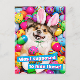 Hund liegt auf Ostereiern Postkarte
