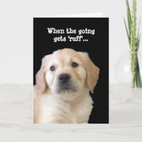 Hund Lover bekommen Well Card