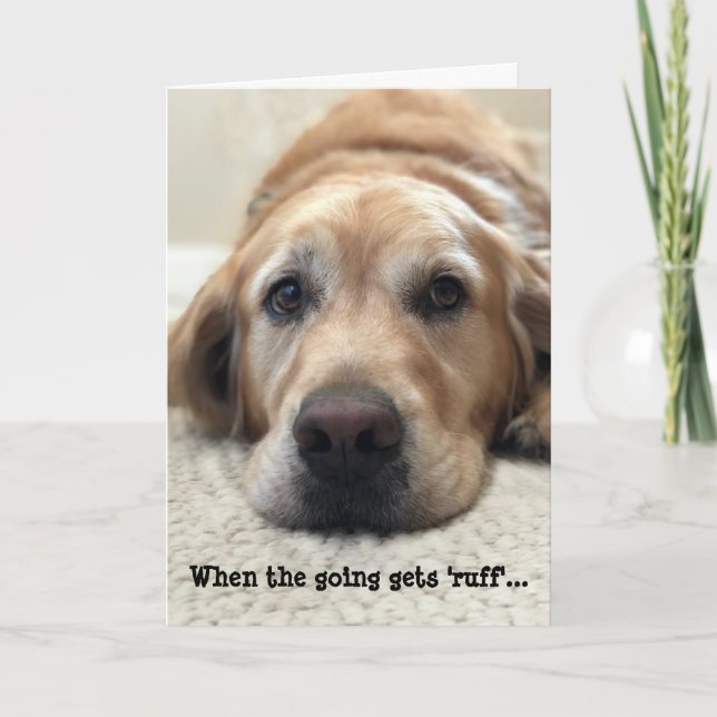 Hund Lover Get Well Card Karte (Vorderseite)