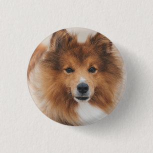 Hund Lover Personalisiert Begleiter Foto Button