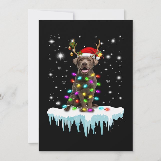 Hund Lover | Schokolade Labrador Christmas Light Karte (Vorderseite)