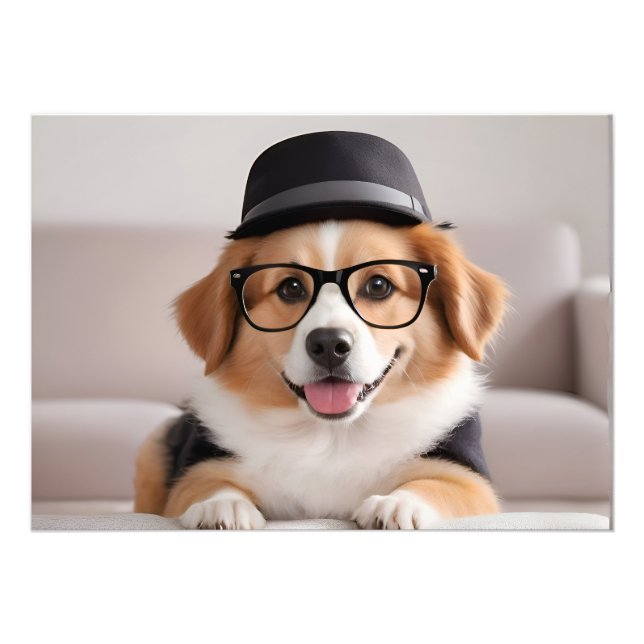 Hund mit Brille und Hut Fotodruck (Vorne)