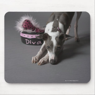 Hund mit Divaschüssel, Schnüffelnboden Mousepad
